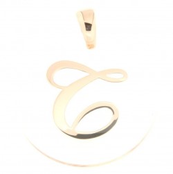 Pendent in silver tit. 925m.