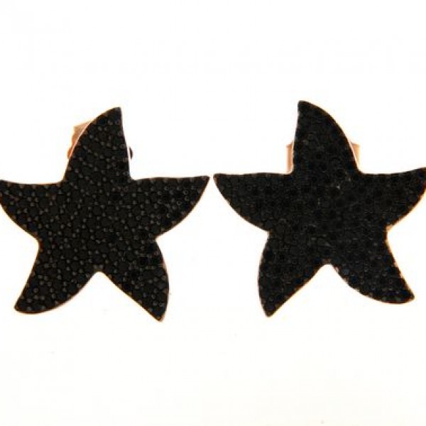 Earrings in silver tit. 925m.