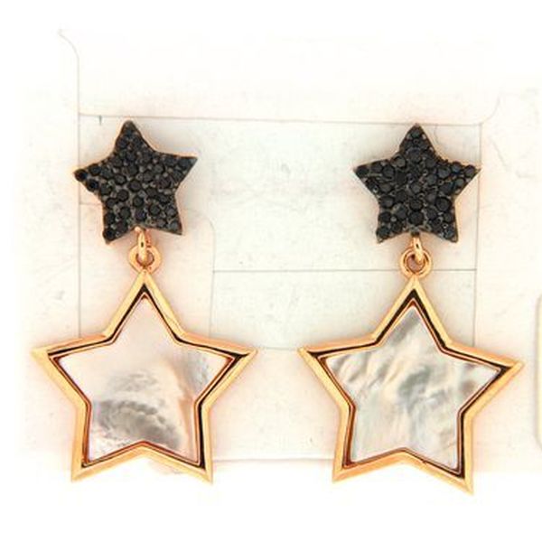 Earrings in silver tit. 925m.