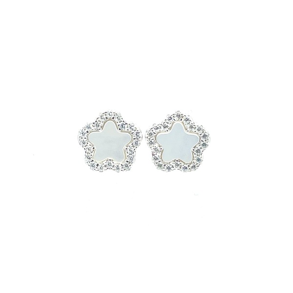 Earrings in silver tit. 925m