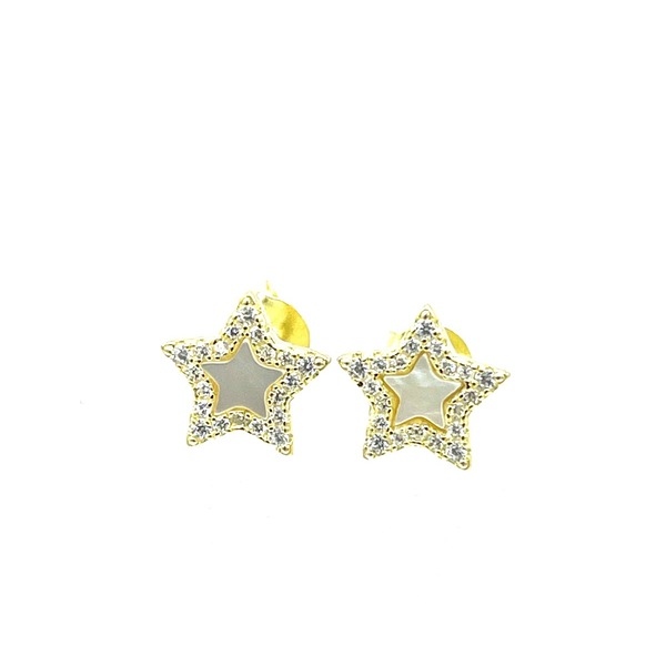 Earrings in silver tit. 925m