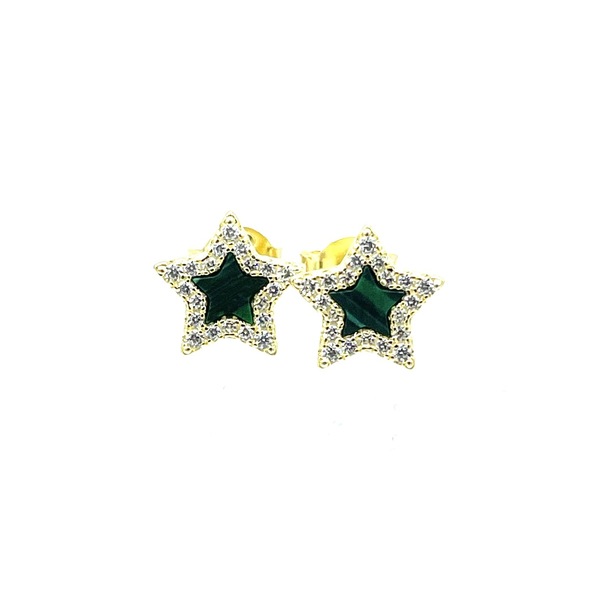 Earrings in silver tit. 925m
