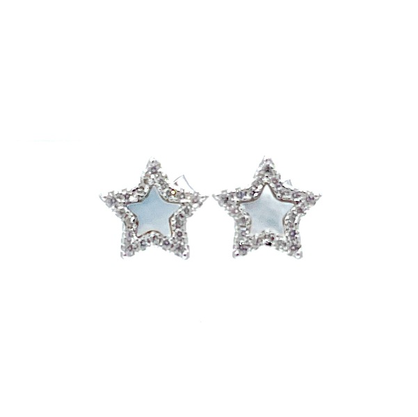 Earrings in silver tit. 925m